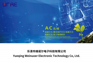 AC-series-power-tool-switch-300x204