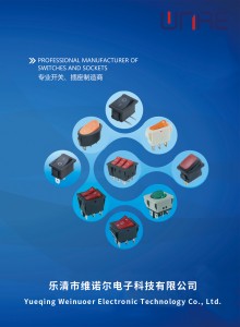 rocker-switch1-220x300