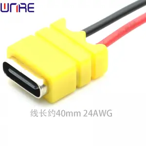 TYPE-C-00080 Waterproof Socket Female 2P Electronic Product USB Connector Power Connection