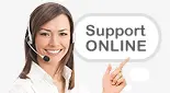 Online Inquiry